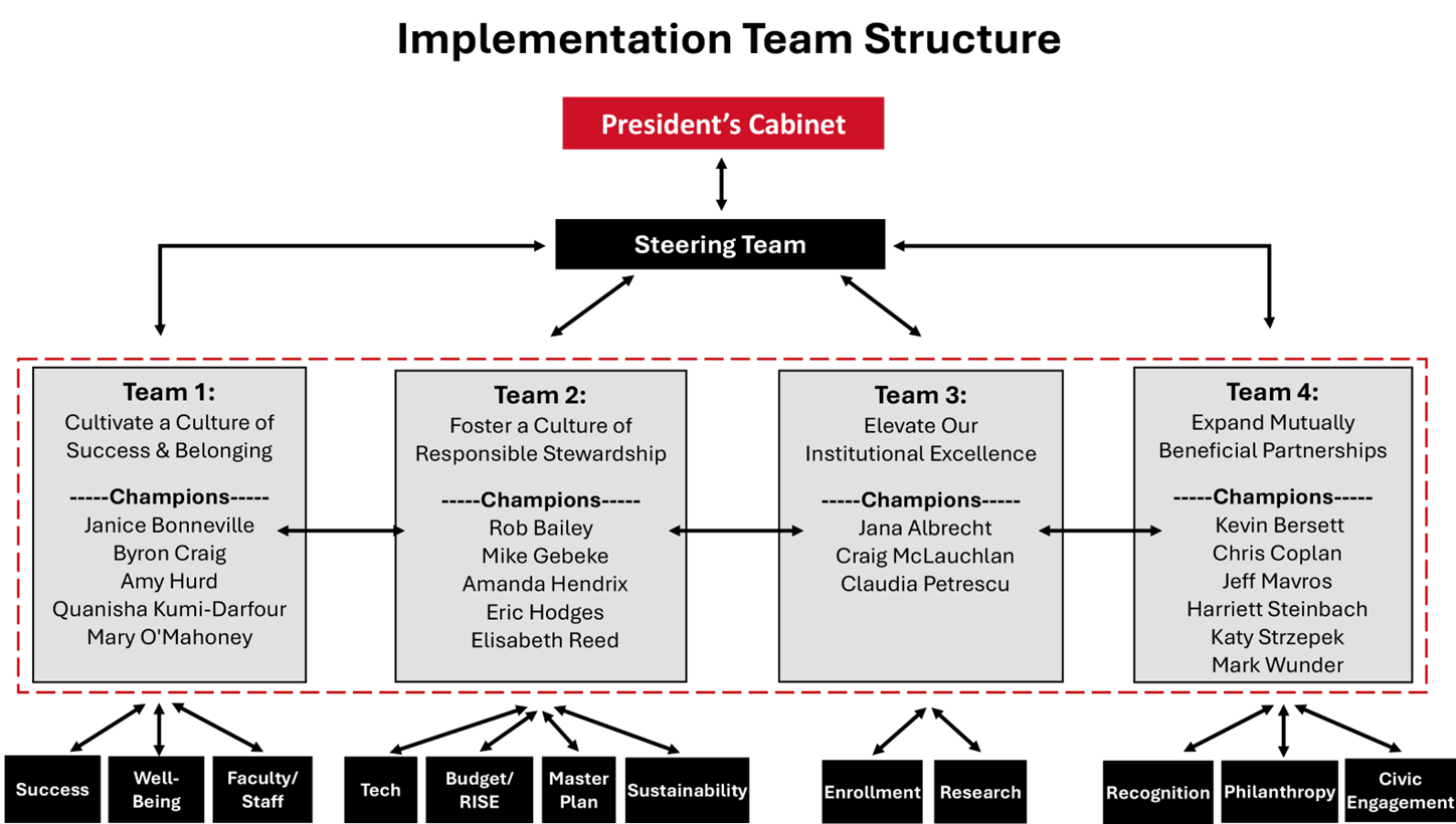 Implementation Team Structure