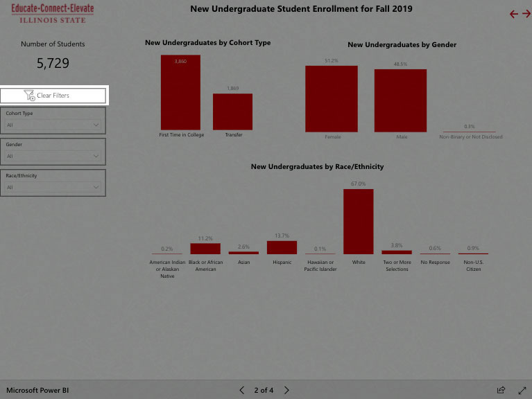 Screenshot of the Power BI portal.