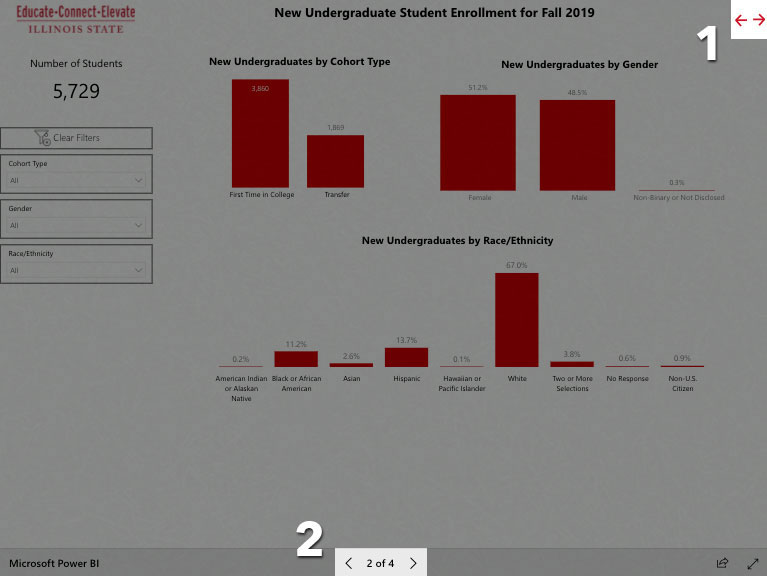 Screenshot of the Power BI portal.